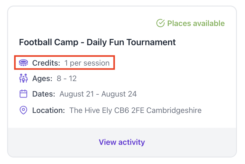 how-many-credits-is-each-activity-worth-holiday-activities
